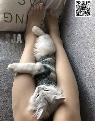 亚洲黄色片子免费看_超清在线播放观看